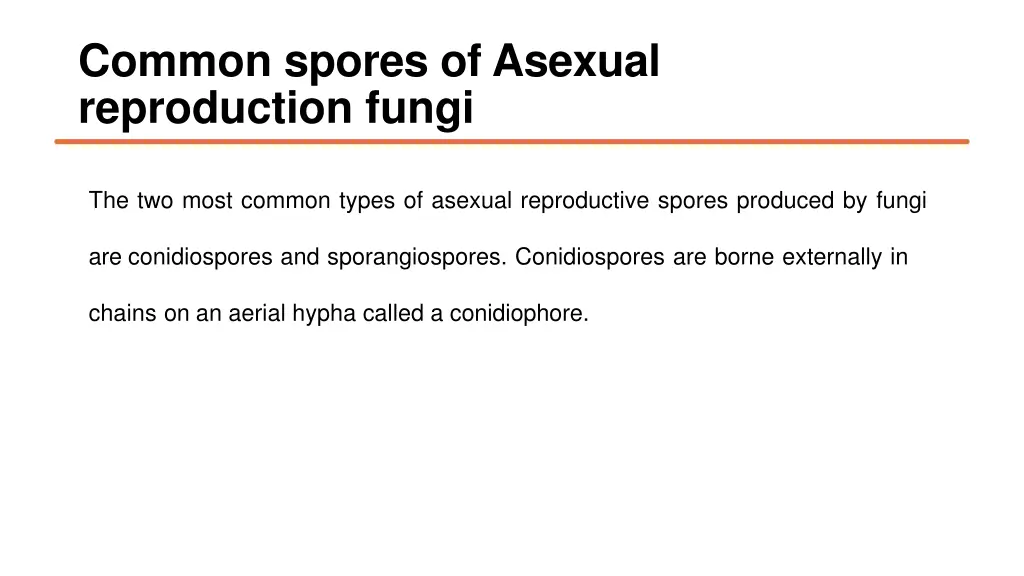 common spores of asexual reproduction fungi