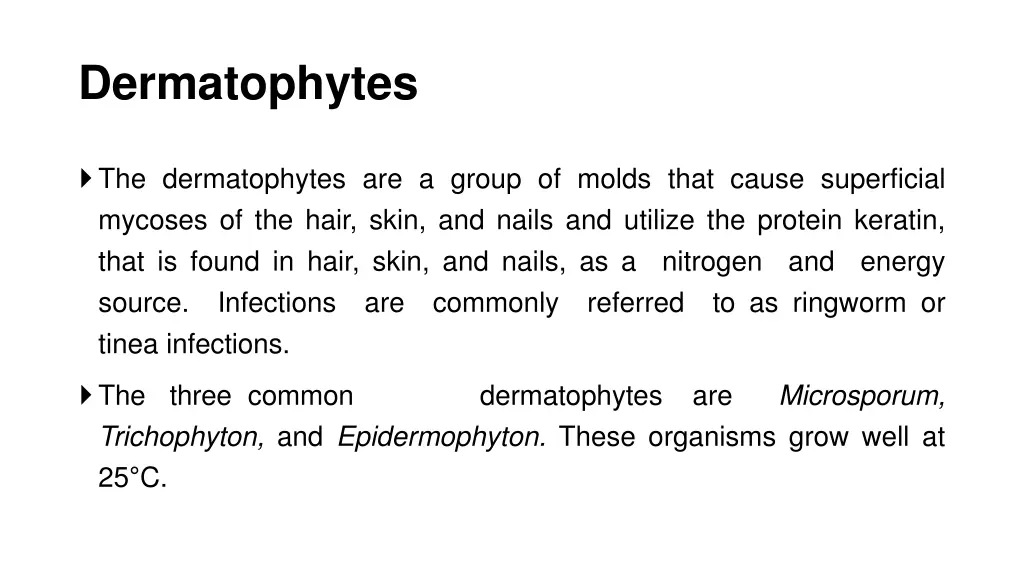 dermatophytes