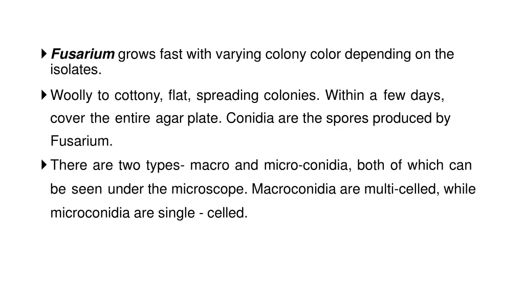 fusarium grows fast with varying colony color