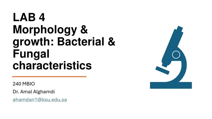 lab 4 morphology growth bacterial fungal