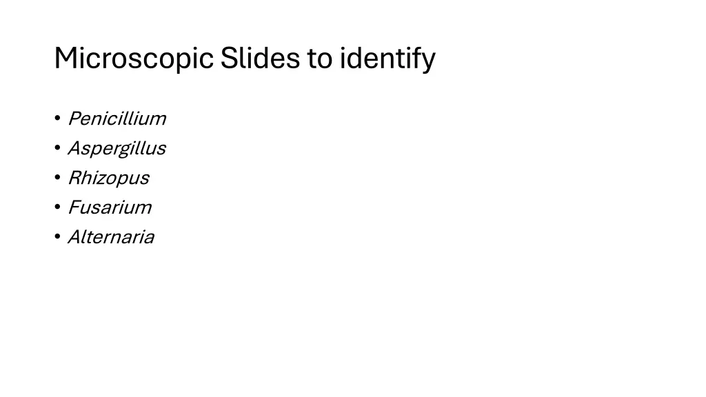 microscopic slides to identify