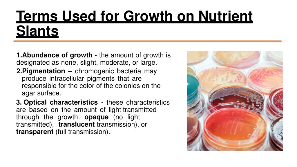 terms used for growth on nutrient slants