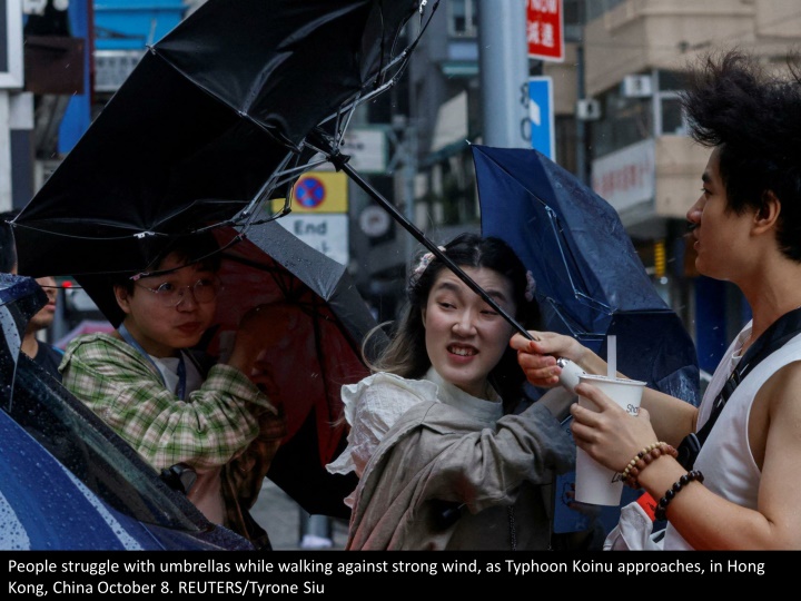 people struggle with umbrellas while walking