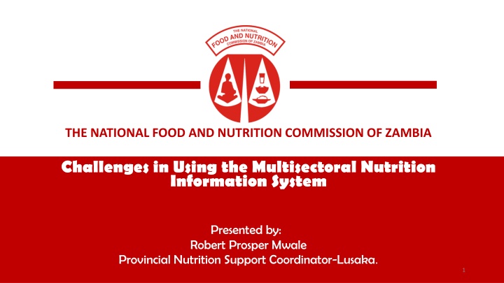 the national food and nutrition commission