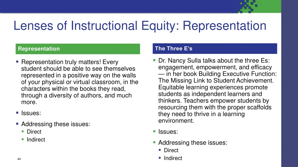 lenses of instructional equity representation