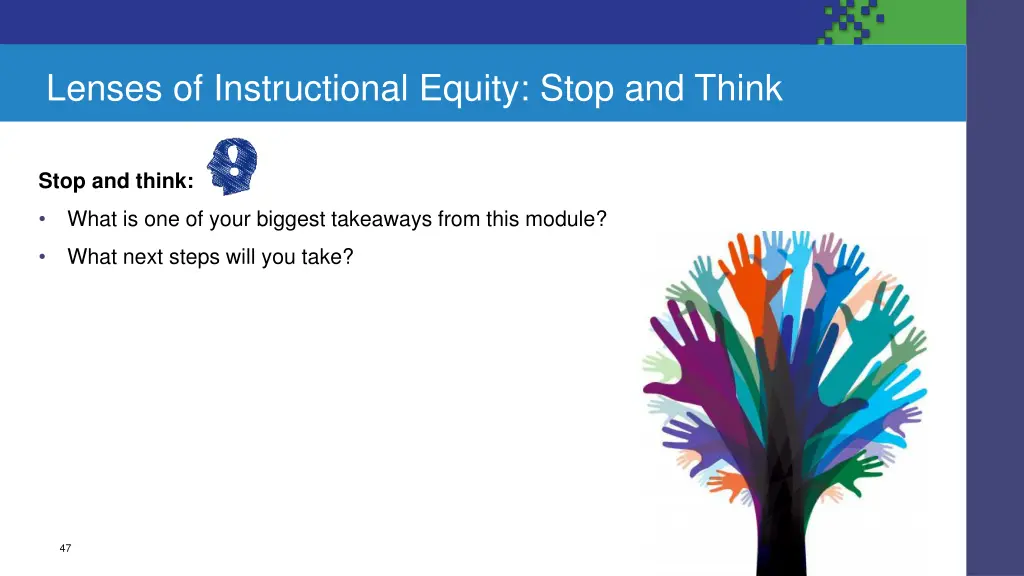 lenses of instructional equity stop and think