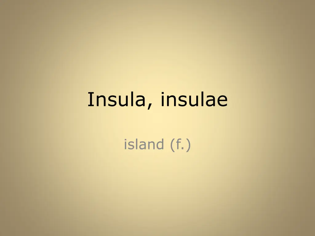insula insulae