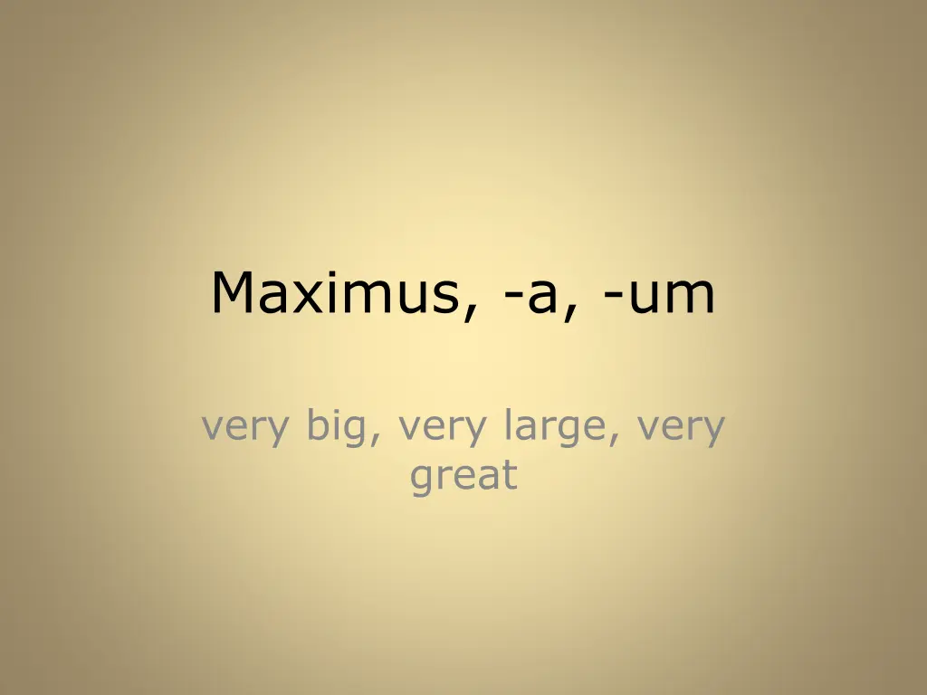 maximus a um