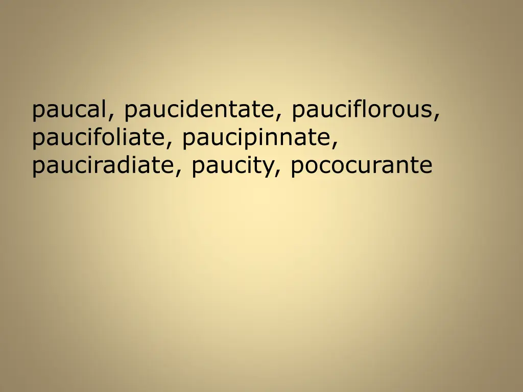paucal paucidentate pauciflorous paucifoliate