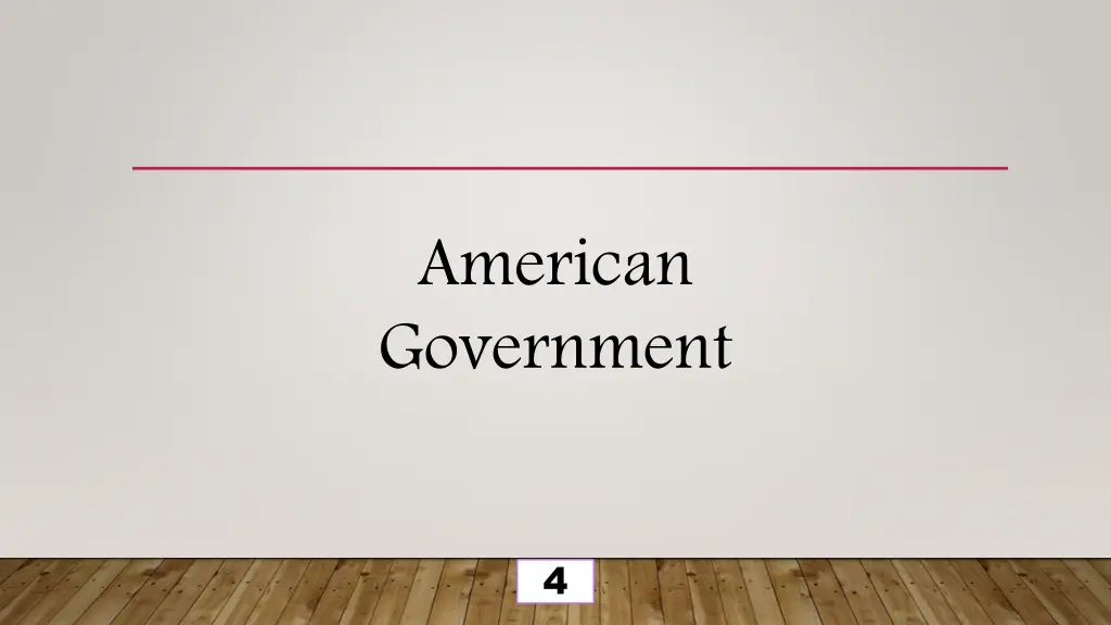 american government