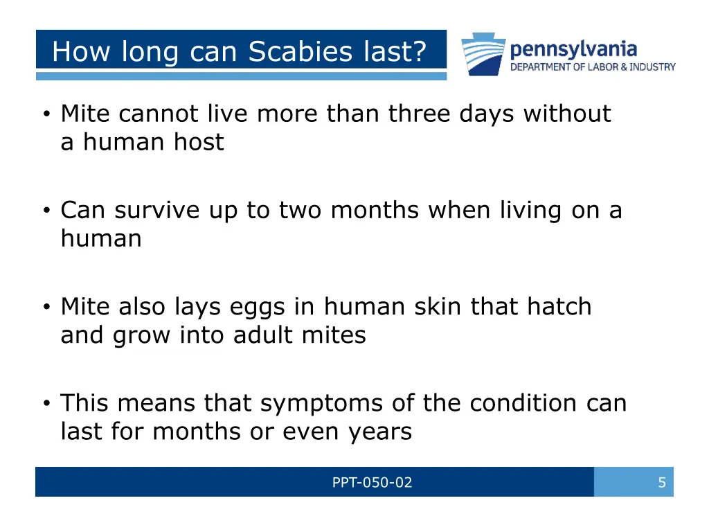 how long can scabies last