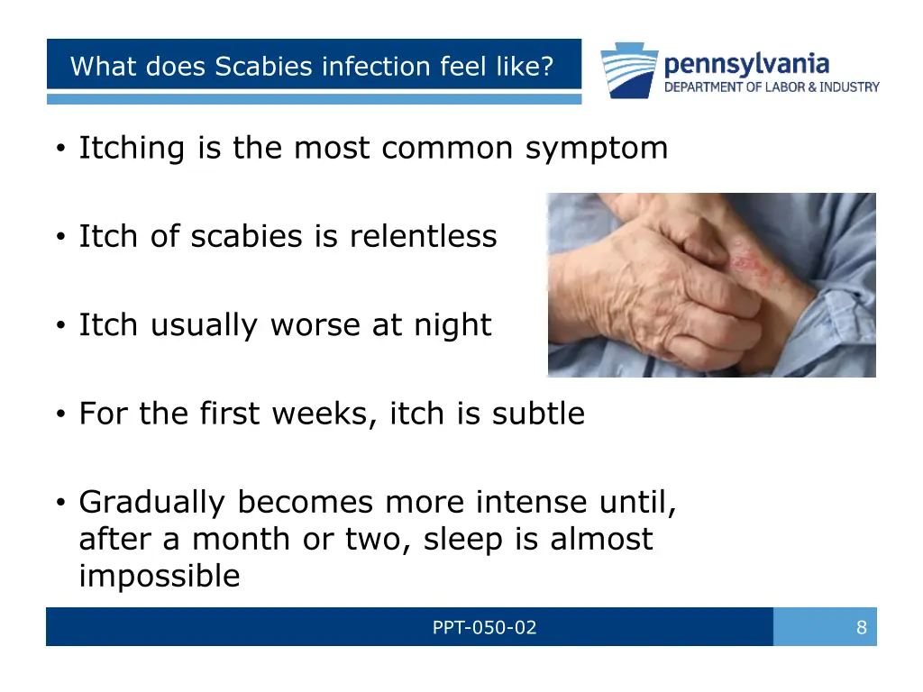 what does scabies infection feel like