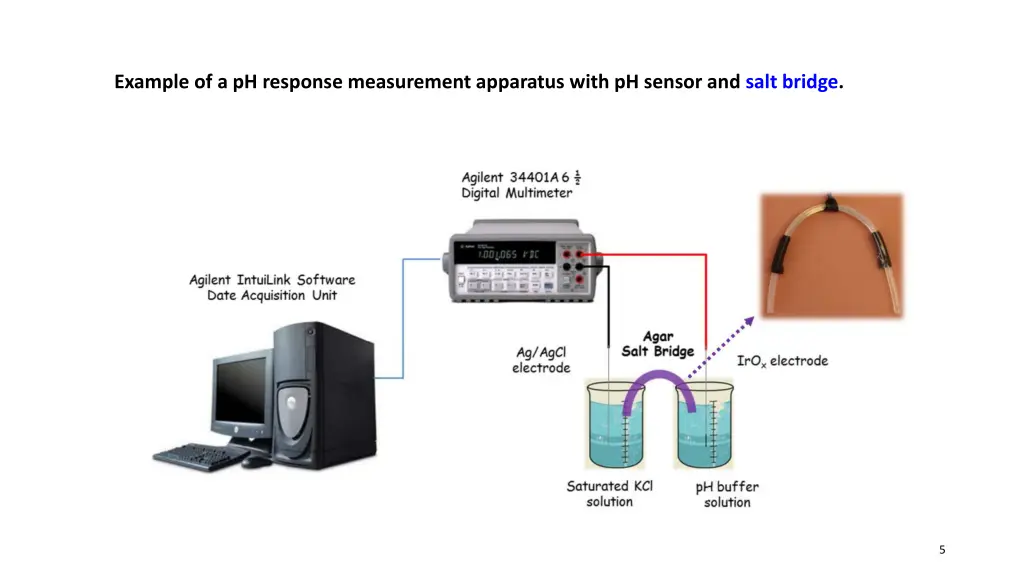 example of a ph response measurement apparatus