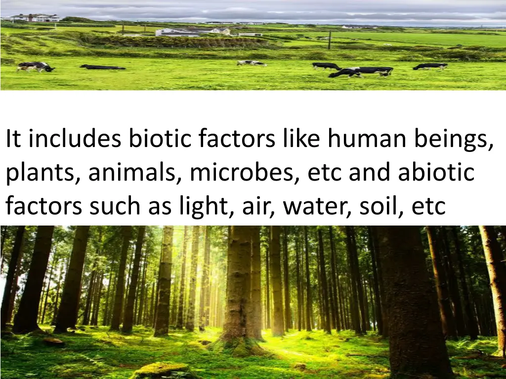 it includes biotic factors like human beings