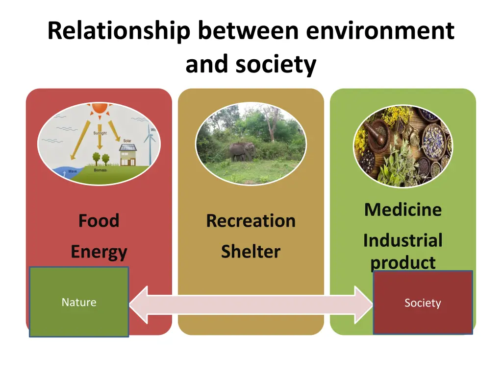 relationship between environment and society