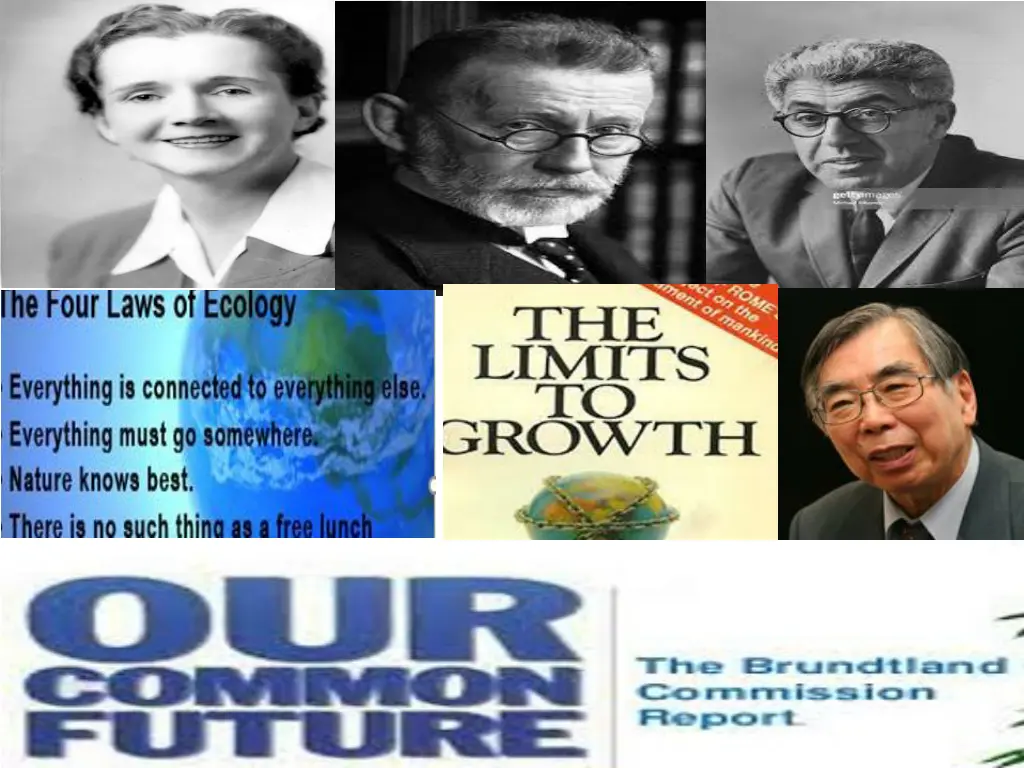 slide7