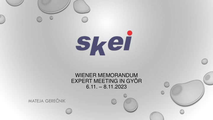 wiener memorandum expert meeting