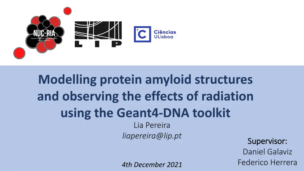 modelling protein amyloid structures