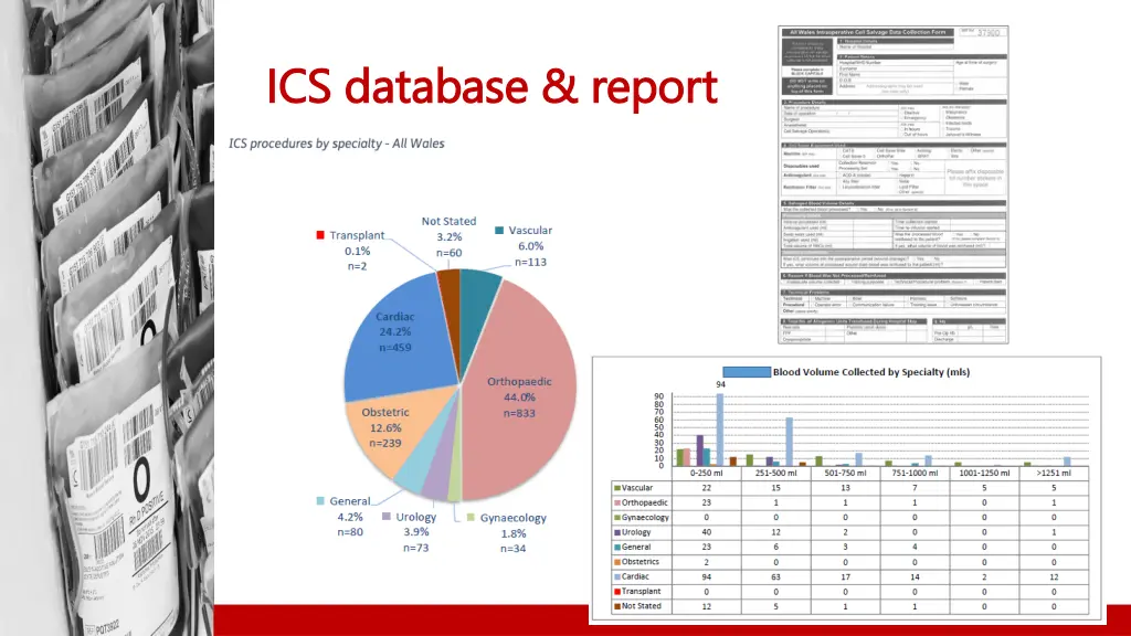 ics database report ics database report