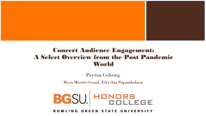 concert audience engagement a select overview