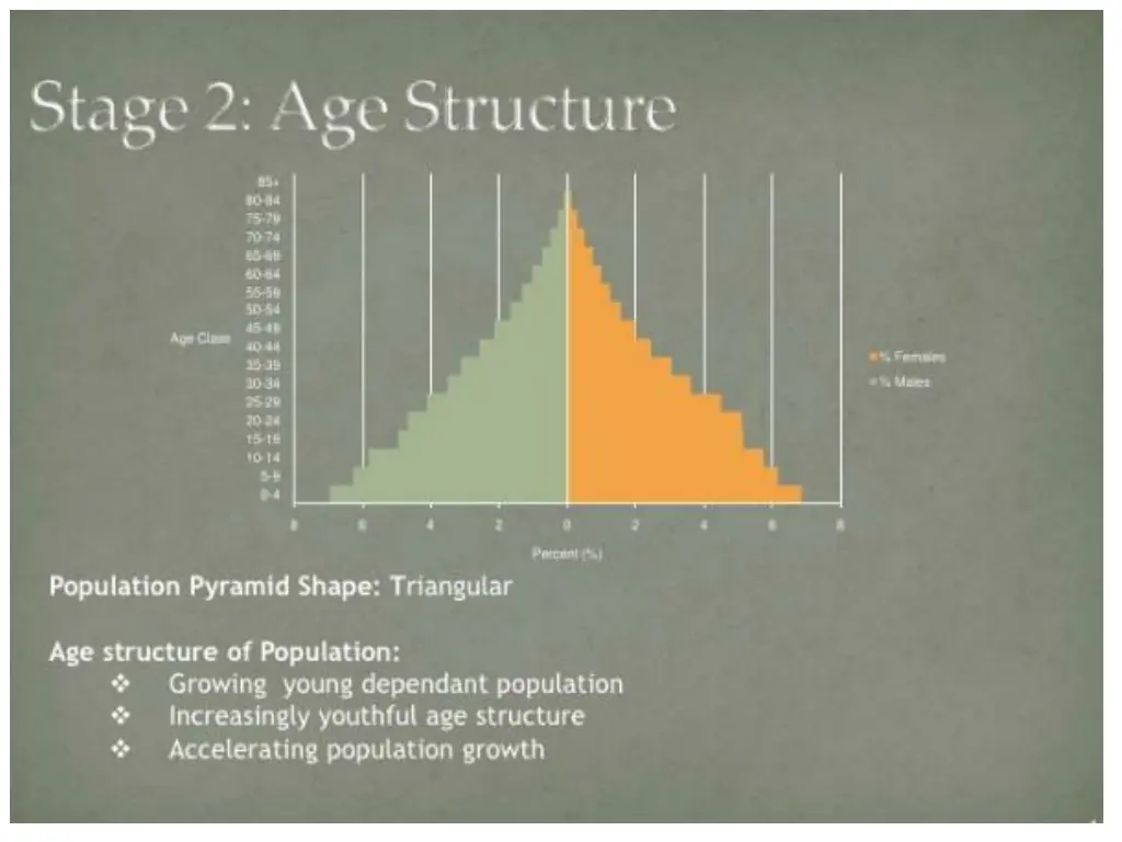 slide17