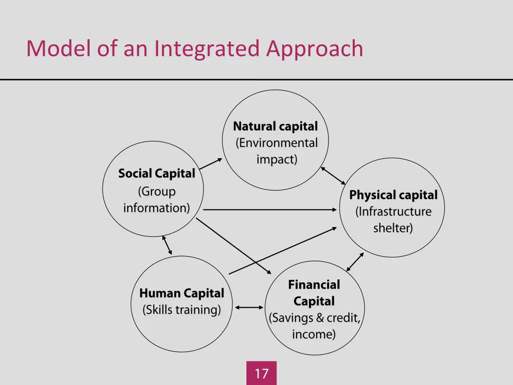 model of an integrated approach