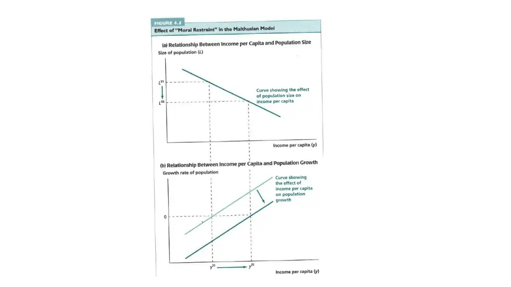 slide7