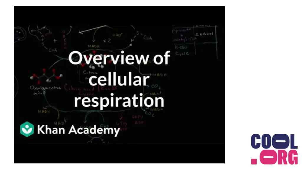 overview of cellular respiration cellular
