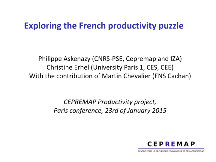 exploring the french productivity puzzle