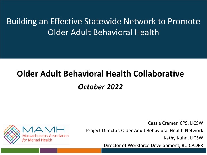 building an effective statewide network