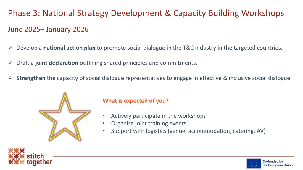 phase 3 national strategy development capacity