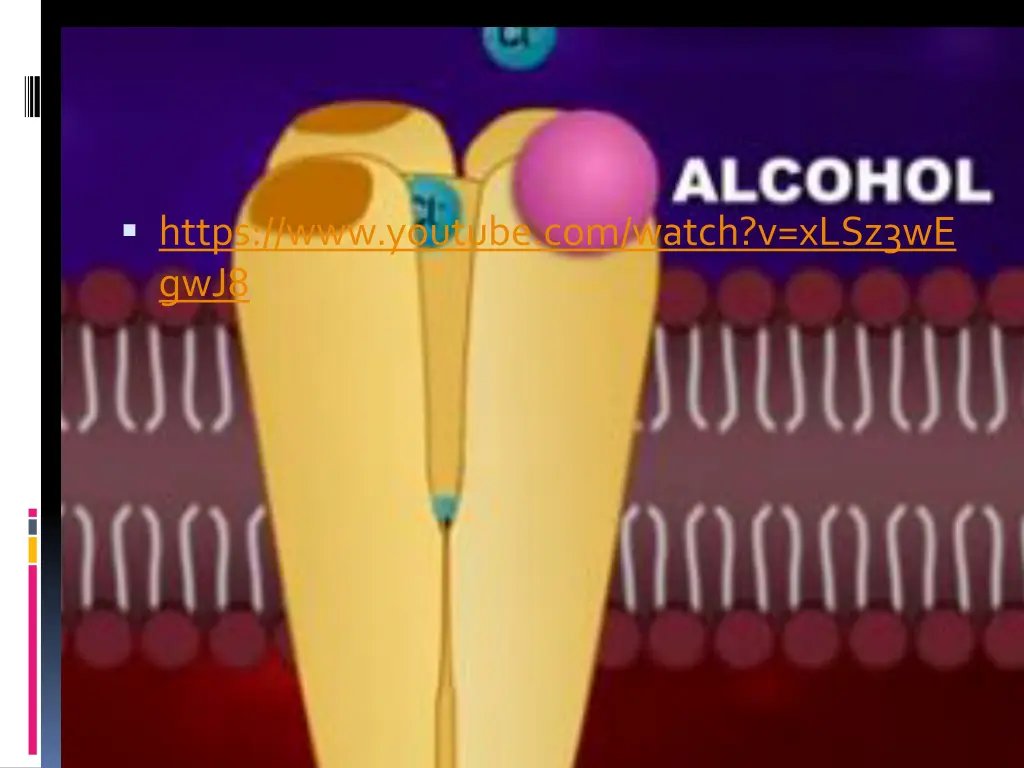 https www youtube com watch v xlsz3we gwj8
