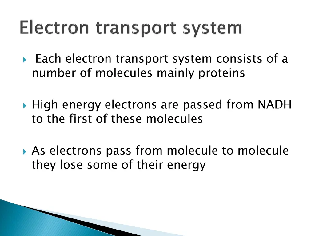 each electron transport system consists