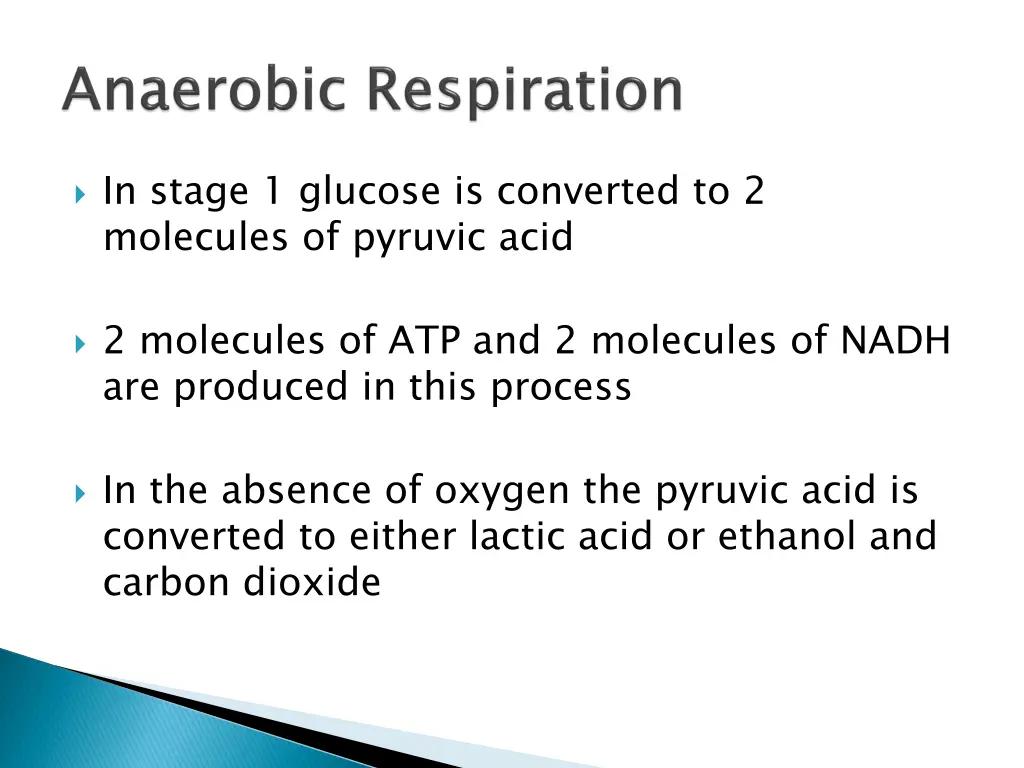 in stage 1 glucose is converted to 2 molecules