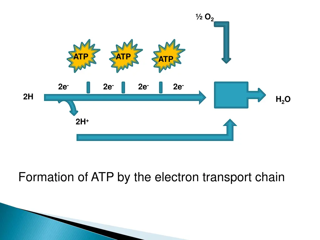 slide17