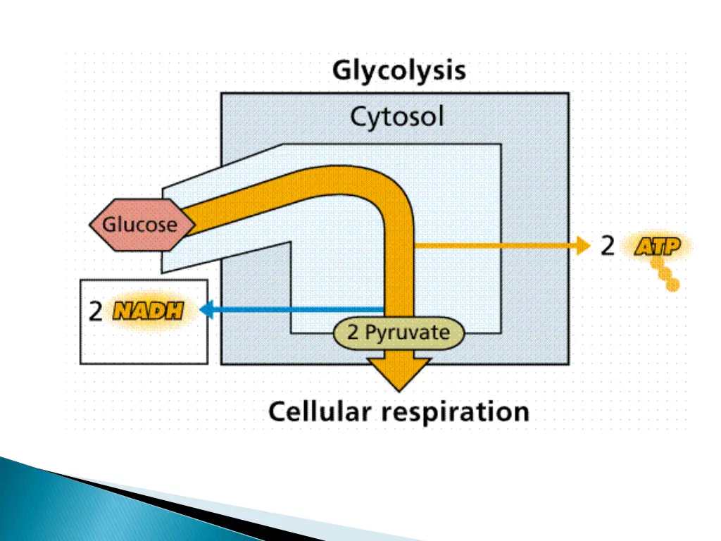 slide4