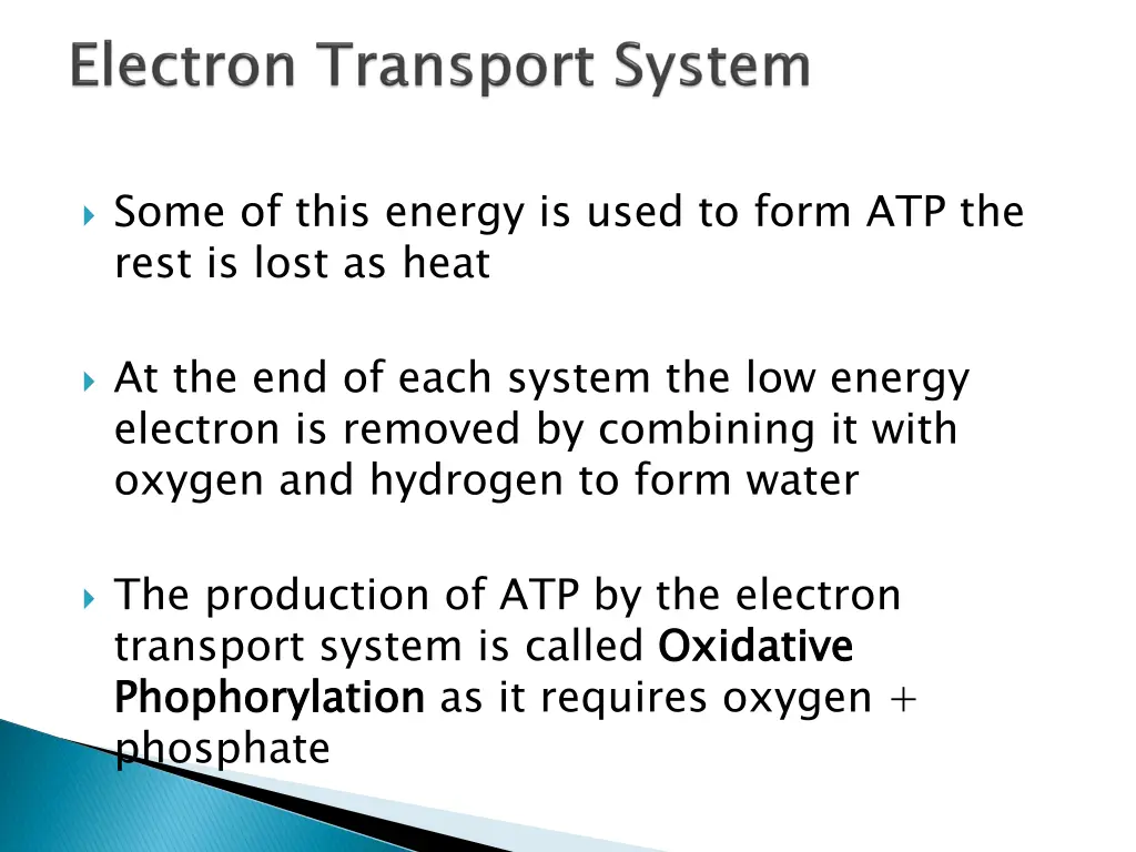 some of this energy is used to form atp the rest