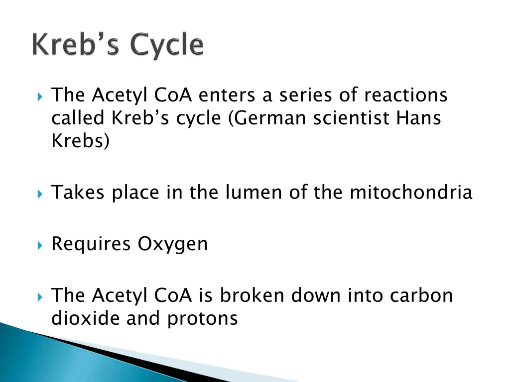 the acetyl coa enters a series of reactions