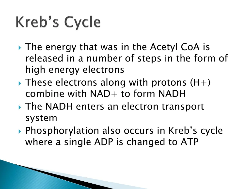 the energy that was in the acetyl coa is released