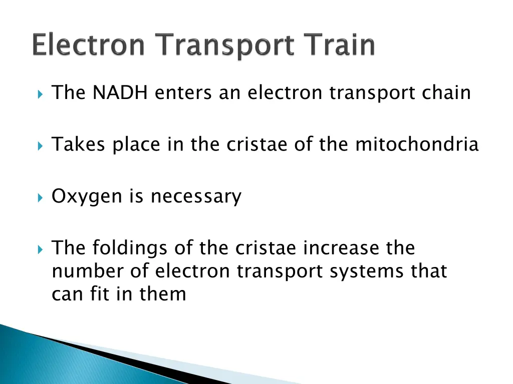 the nadh enters an electron transport chain