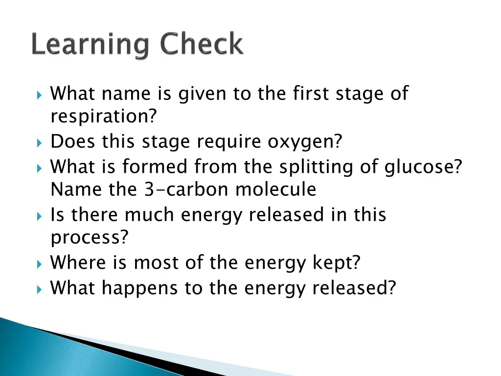 what name is given to the first stage