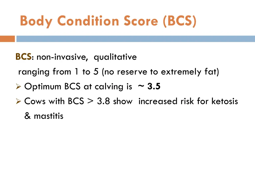 body condition score bcs