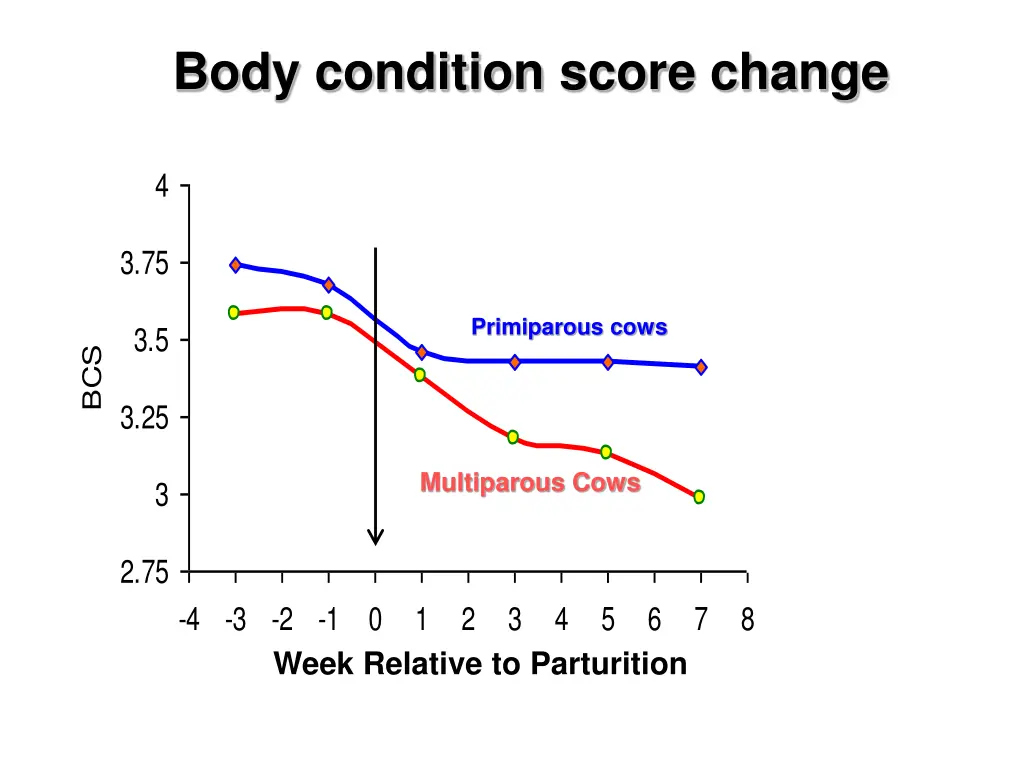 body condition score change