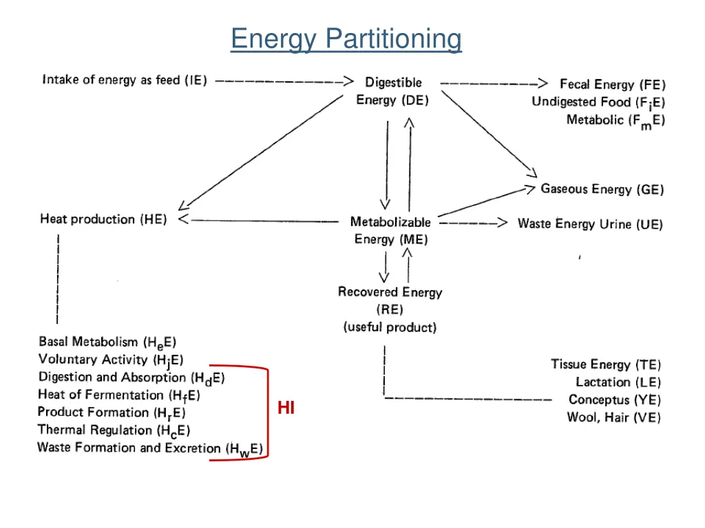 energy partitioning