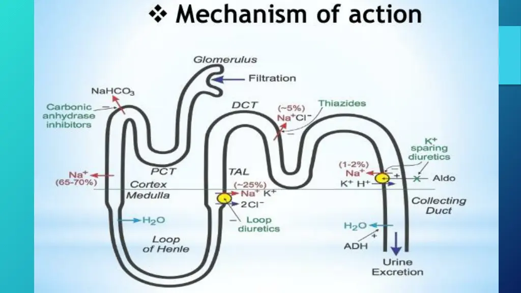 slide2