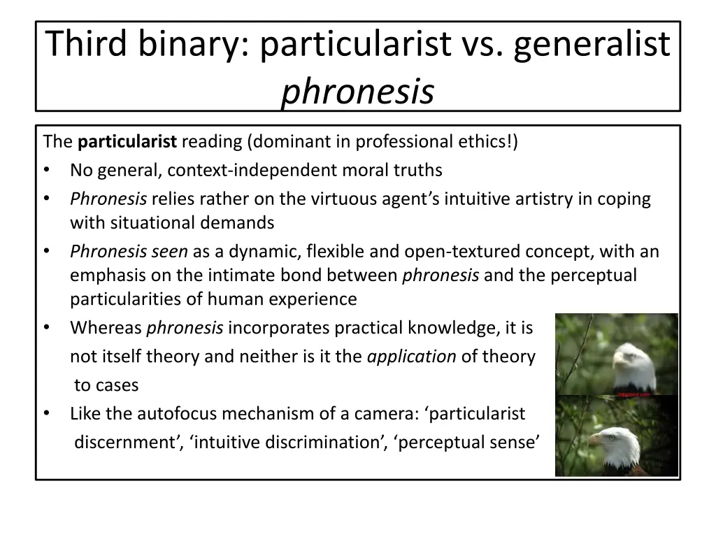 third binary particularist vs generalist phronesis
