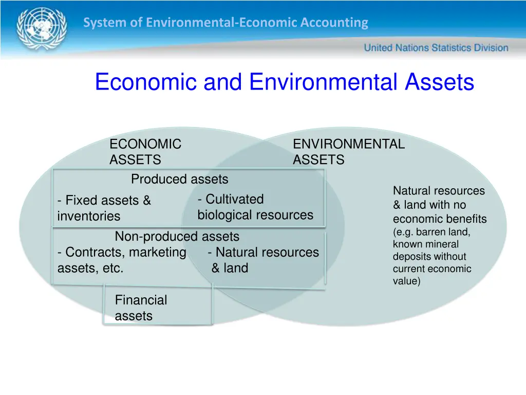 system of environmental economic accounting 19