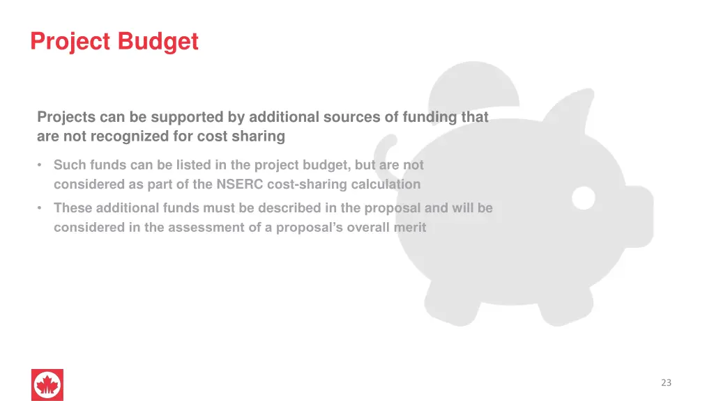 project budget