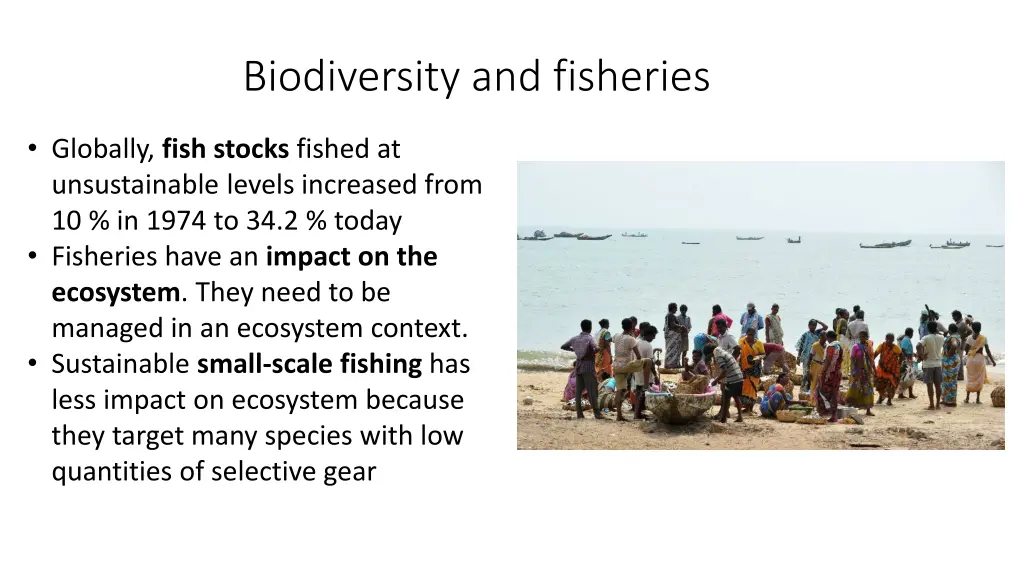 biodiversity and fisheries