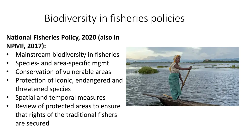 biodiversity in fisheries policies
